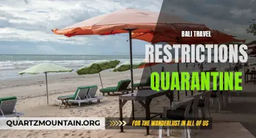 Understanding Bali's Travel Restrictions and Quarantine Guidelines