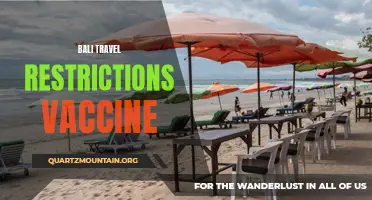 Understanding Bali's Travel Restrictions for Vaccinated Travelers