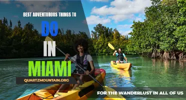 12 Best Adventurous Things to Do in Miami