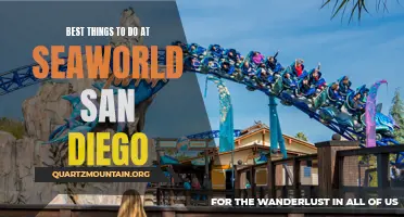12 Best Things to Do at SeaWorld San Diego