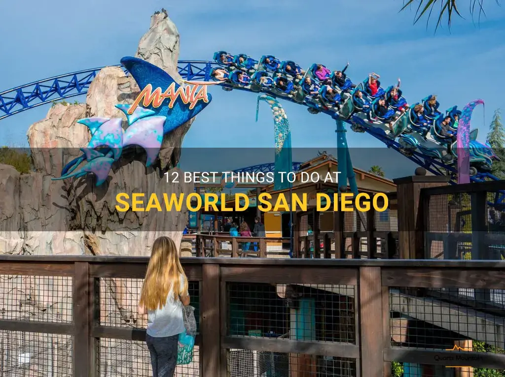 best things to do at seaworld san diego