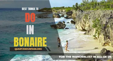 Top 10 Must-Do Activities in Bonaire