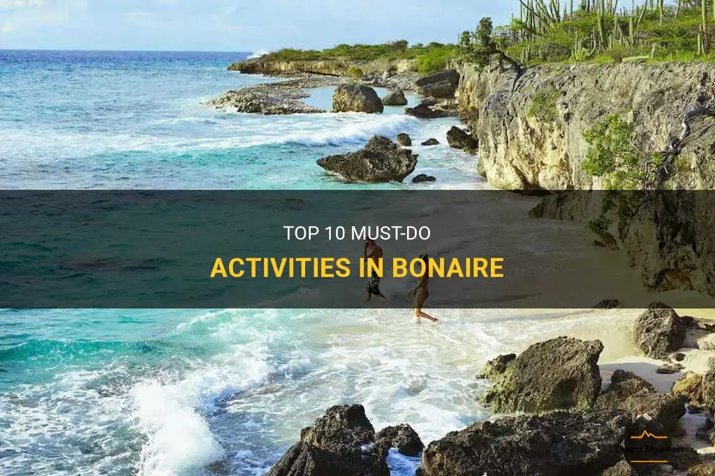best things to do in bonaire