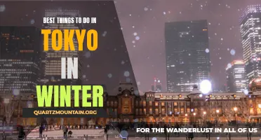 10 Must-Do Activities in Tokyo During Winter