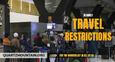 The Pros and Cons of Implementing Blanket Travel Restrictions