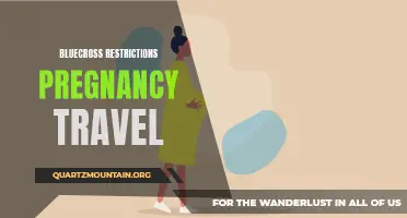 Understanding BlueCross Restrictions for Pregnancy Travel