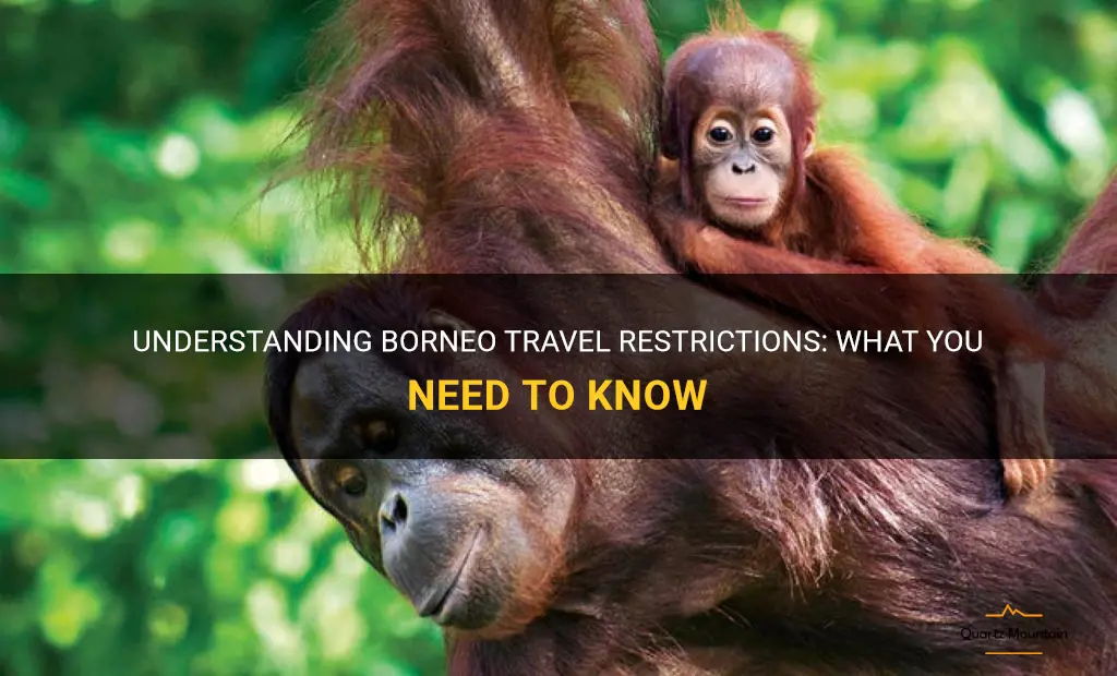borneo travel restrictions