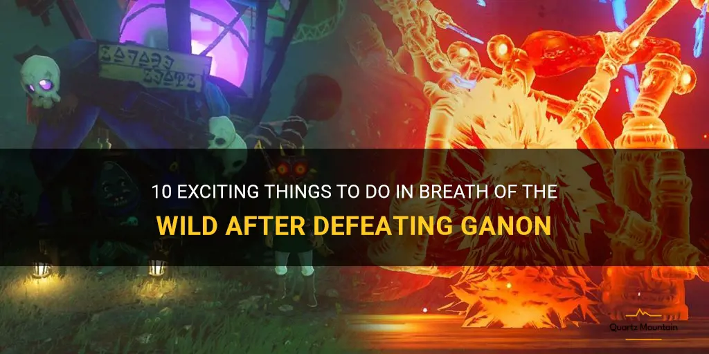 botw things to do after ganon