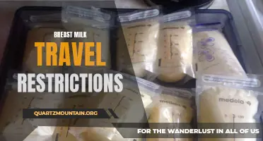 Navigating Breast Milk Travel Restrictions: Tips for Nursing Mothers on the Move
