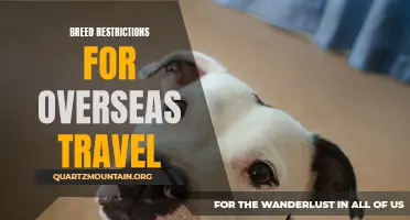 Navigating Breed Restrictions for Overseas Travel: What You Need to Know