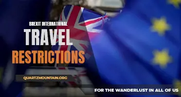 Understanding the Implications of Brexit on International Travel Restrictions