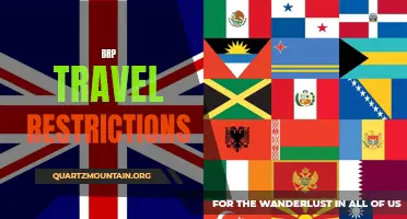 The Implications and Solutions Surrounding BRP Travel Restrictions