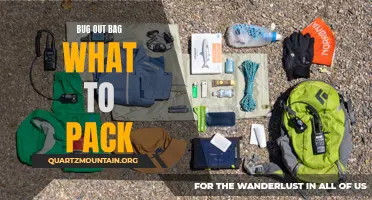 Essential Items to Include in Your Bug Out Bag for Emergencies