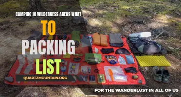 10 Essential Items for Your Camping Packing List in Wilderness Areas