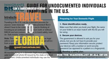 Exploring Immigration Laws: Can an Undocumented Person Travel to Florida?