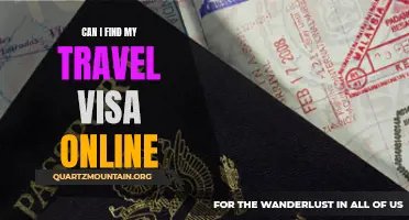 Can I Find My Travel Visa Online: A Comprehensive Guide