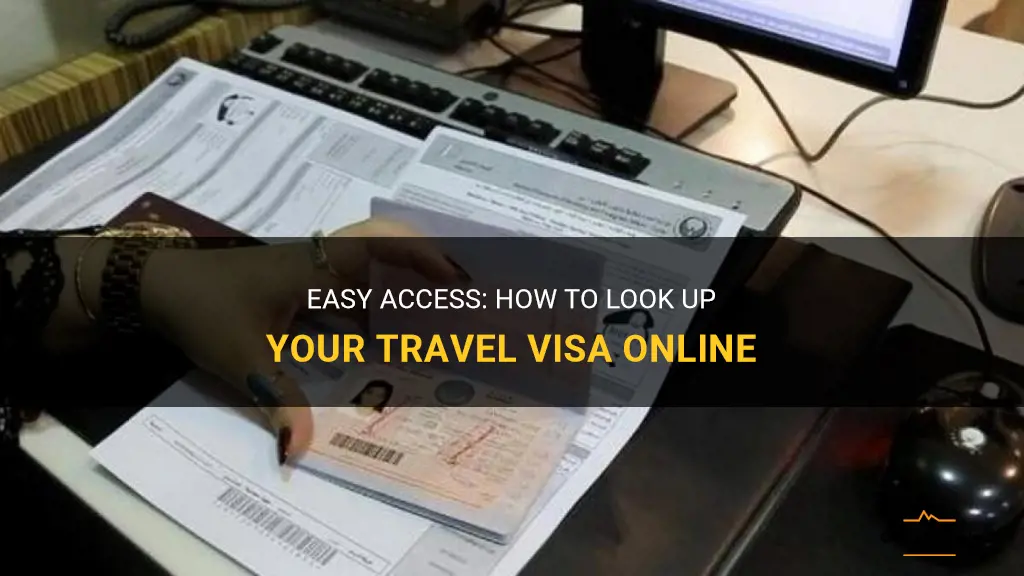 can i look up my travel visa online
