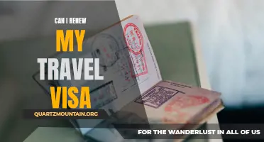 Exploring the Nuances of Renewing a Travel Visa: What You Need to Know