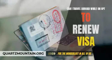 Traveling Abroad While on OPT: Can You Renew Your Visa?