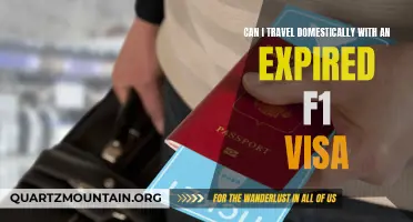 Can I Travel Domestically with an Expired F1 Visa?