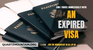 Can I Travel Domestically with an Expired Visa?