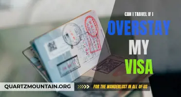 What happens if I overstay my visa and want to travel?