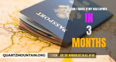 Can I Travel If My Visa Expires in 3 Months? What You Need to Know