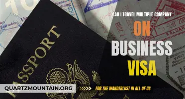 Exploring the Limitations of Traveling Across Multiple Companies on a Business Visa