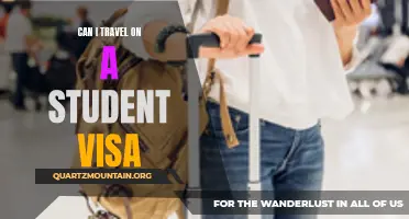 Discover the Ins and Outs of Traveling on a Student Visa