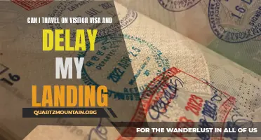 Understanding the Option to Delay Landing and Travel on a Visitor Visa