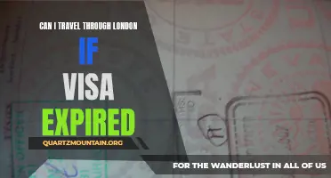 Exploring London After Your Visa Has Expired: Can You Still Travel?