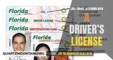 Exploring Florida: What You Need to Know About Traveling with a Driver's License