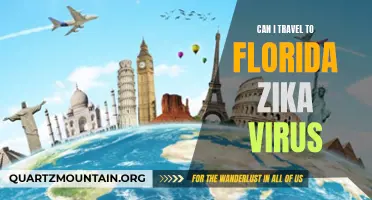 Is it Safe to Travel to Florida Amid the Zika Virus Outbreak?