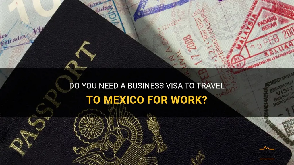 can i travel to mexoco on a business visa