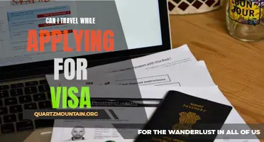 Do I Need to Pause My Travel Plans While Applying for a Visa?