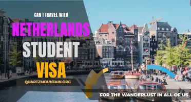 Traveling with a Netherlands Student Visa: Everything You Need to Know