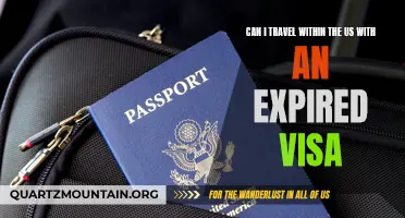 Exploring the Rules and Regulations: Can You Travel Within the US with an Expired Visa?