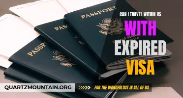 Exploring the Possibility of Traveling Within the US with an Expired Visa