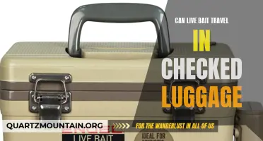Transporting Live Bait in Checked Luggage: What You Need to Know