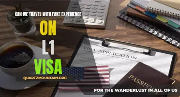Exploring the Risks and Consequences of Faking Experience on an L1 Visa for Travel