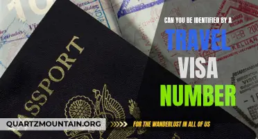 Can You Be Identified by a Travel Visa Number?