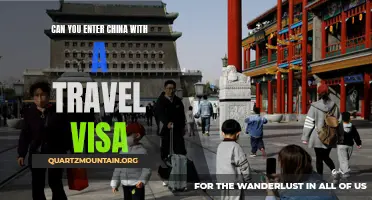 Understanding the Entry Requirements: Can You Enter China with a Travel Visa?