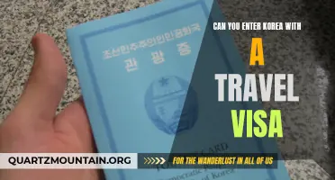 Why You Need a Travel Visa to Enter South Korea