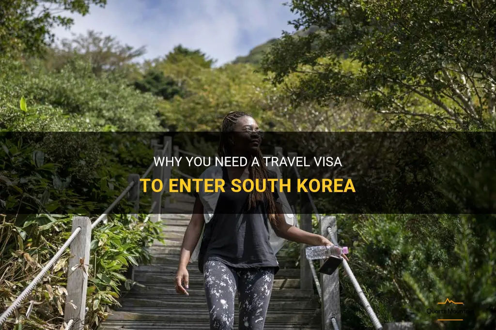 can you enter korea with a travel visa