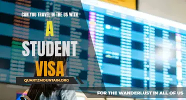 What You Need to Know About Traveling in the US with a Student Visa