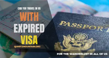 Can You Travel in the US with an Expired Visa?