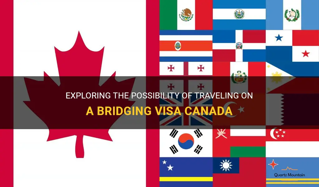 can you travel on a bridging visa canada
