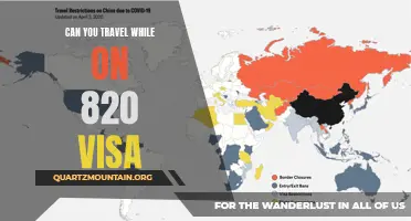Can You Travel While on a 820 Visa?