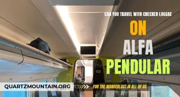 Traveling with Checked Luggage on the Alfa Pendular: What You Need to Know