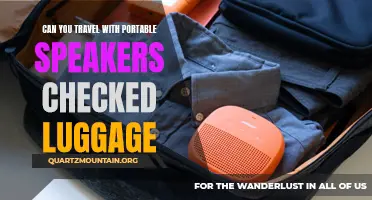 Traveling with Portable Speakers: What You Need to Know About Checked Luggage Policies